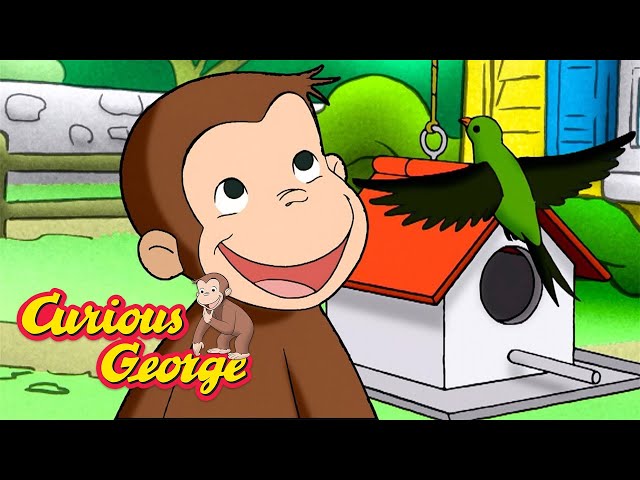 Thats the Birds Food! 🐵 Curious George 🐵 Kids Cartoon 🐵 Kids Movies