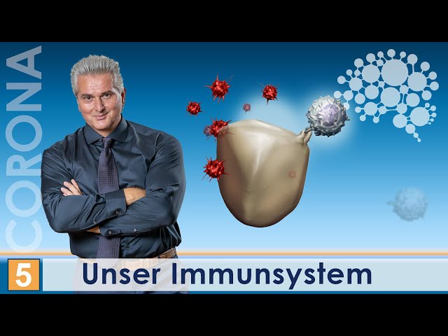 Our Immune System│Dr. Dr. Damir del Monte│Science & Practice