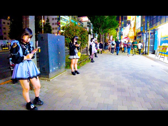 Akihabara in Tokyo 🐶🍻 Moe Moe Night ♪ 💖 4K ASMR non-stop 1 hour 01 minutes