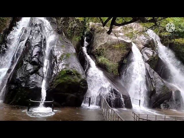 Kutralam Five Falls⭐⭐⭐⭐⭐