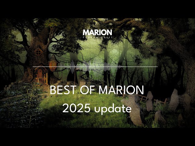 Best of MARION Mix - 2025 Update [1,5 Hour] ChillStep | Chillout