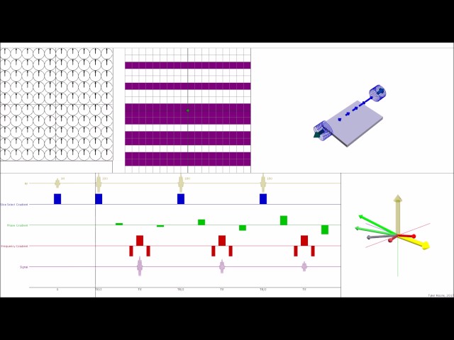 Fast Spin Echo - Full Sequence Representation