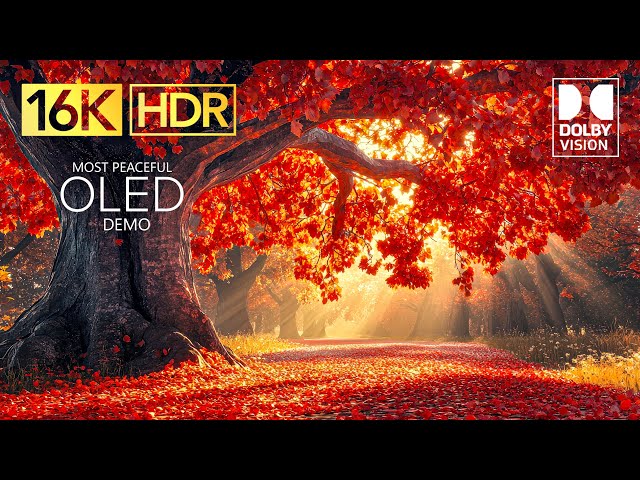 OLED TEST DEMO | 16K Video ULTRA HD 240 FPS Dolby Vision HDR (4K / 8K TV)
