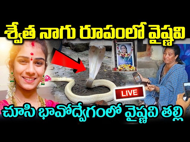 LIVE🔴 శ్వేత నాగు రూపంలో వైష్ణవి | అది చూసి షాక్ అయిన తల్లి | Youtuber Vaishnavi | CR Muchatlu