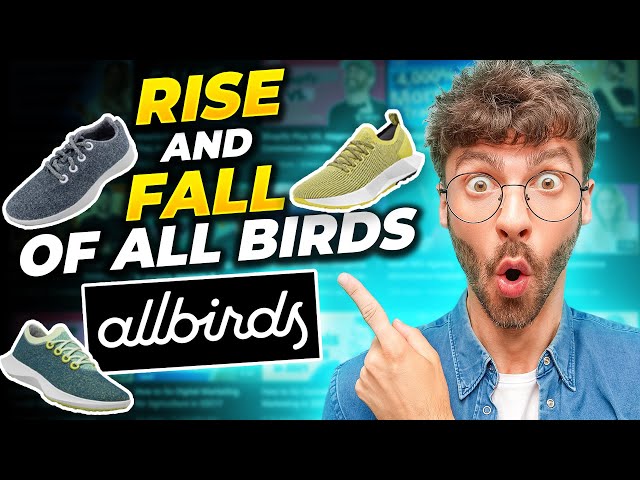 The Rise & Fall of AllBirds - eCommerce Giant