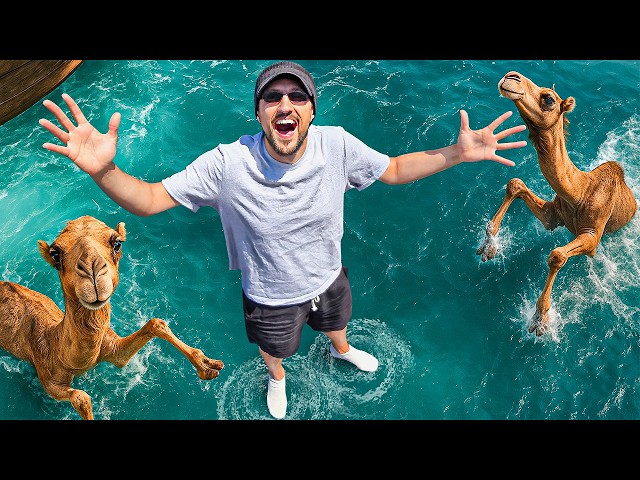 Walking on Holy Water (Sea of Galilee)