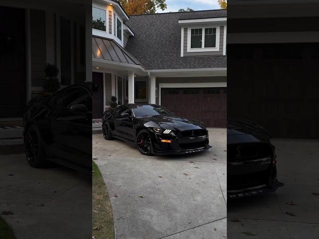 Black Shelby | Mustang Shelby Gt500