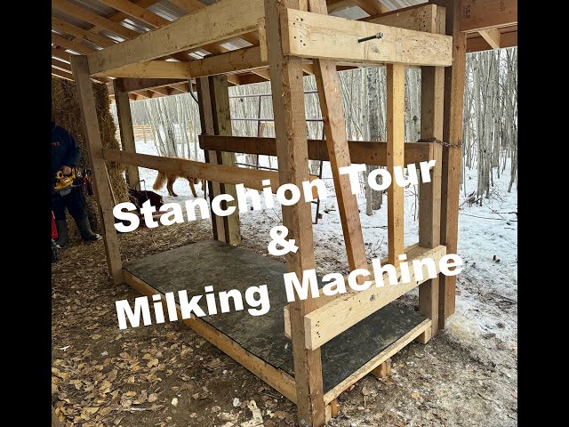 Stanchion Tour and New Milk Machine