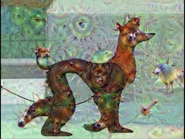 Dalmation Deep Dream 60fps OPflow