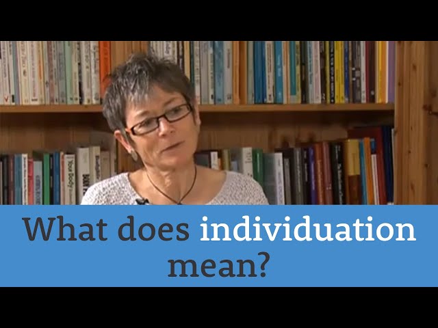 What does individuation mean?