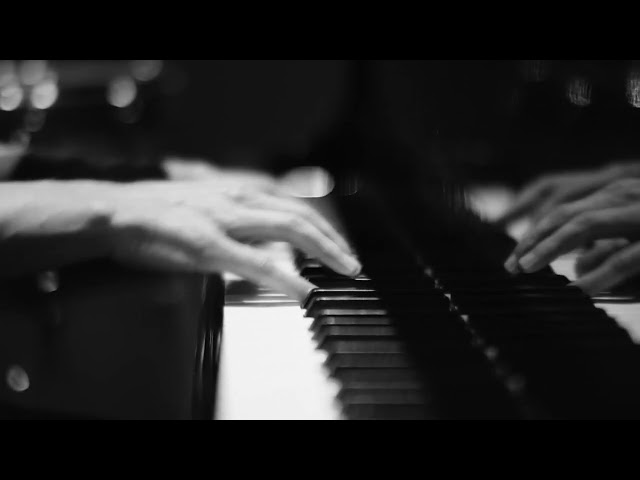 The Killers -  "C'est La Vie" (Visualizer Video)