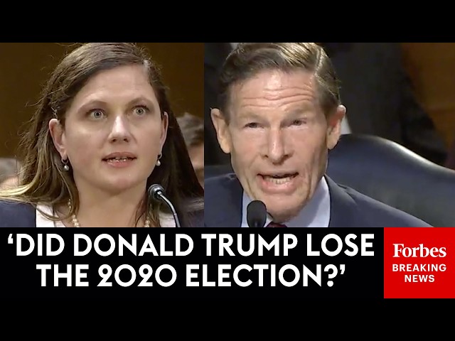 'Who Won The 2020 Election?': Blumenthal Gets Very Fed Up Grilling Trump Judge Nominee