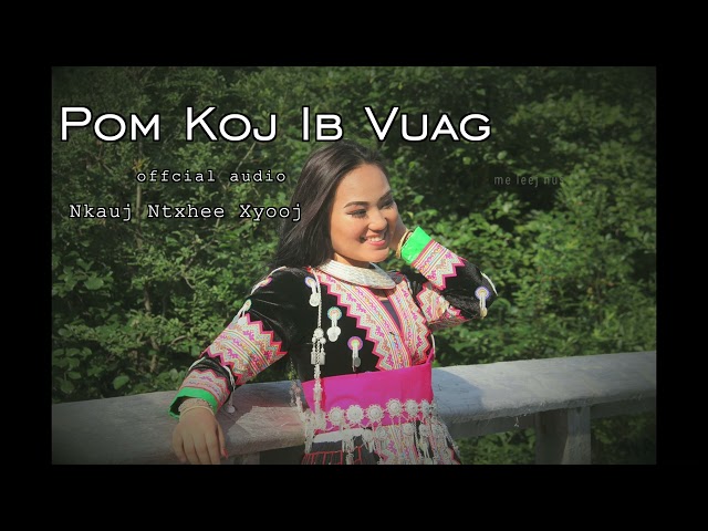 Pom Koj Ib Vuag - Nkauj Ntxhee (official audio 2023)