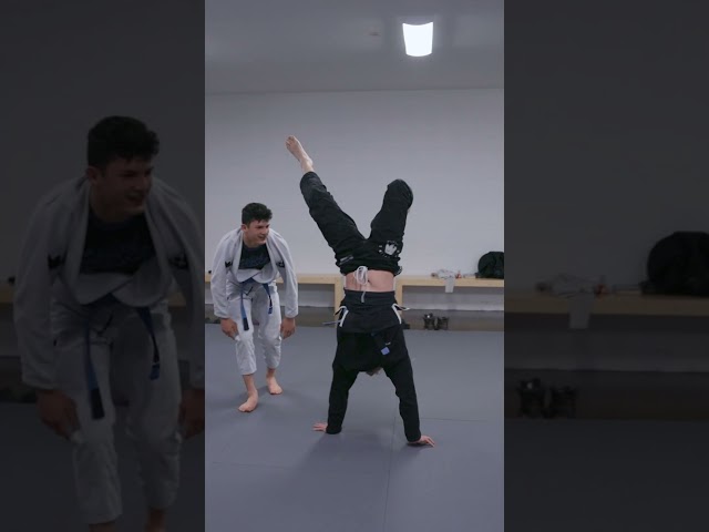 HANDSTANDS #bjj #grapping #cantlose #shorts