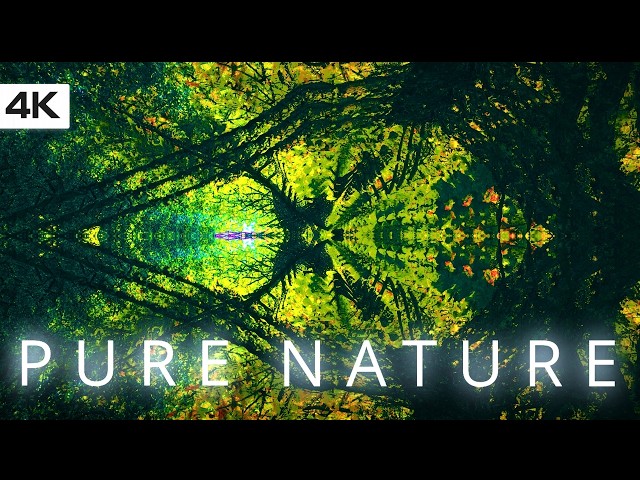 Floating Through Tree Dimensions |1h+ Trippy Nature Visuals 4K