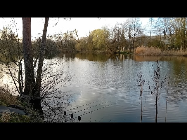 LAA Glemsford Pit 2. #breamfishing #winterfishing #carp #winterbream #essexfishing #ukfishing
