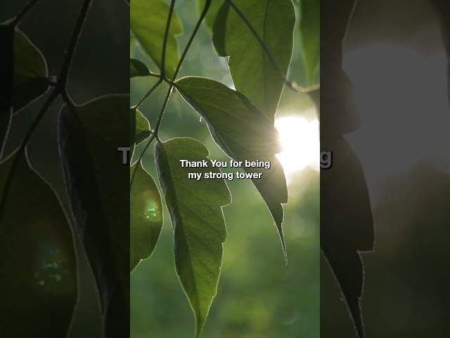 Guided Prayer: Jesus, You Are My Strong Tower and Healer