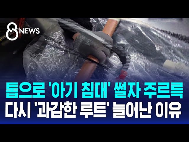 톱으로 '아기 침대' 썰자 주르륵..다시 '과감한 루트' 늘어난 이유 / SBS 8뉴스