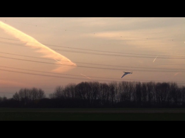 ornithopter "flying adebar"