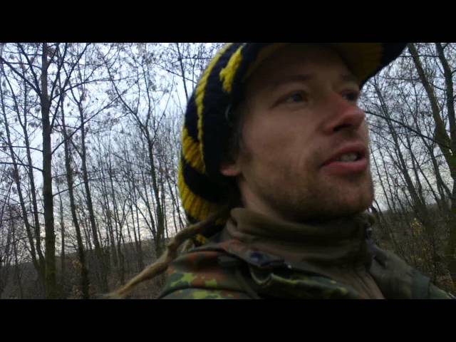 Jedziemy na miodzie od rana