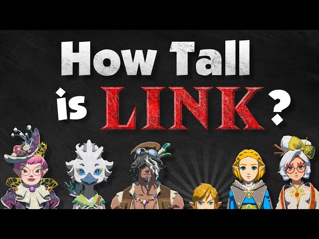 How Tall is Link, Actually?