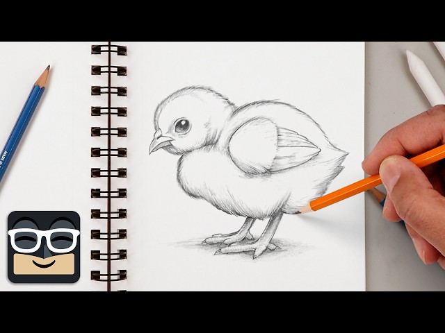 How to Draw a Realistic Baby Chick | Step by Step Sketch Lesson