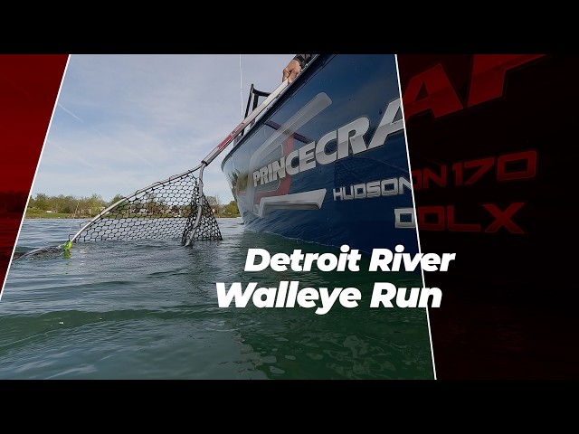 Detroit River Walleye Run! Millions of fish were in the river!