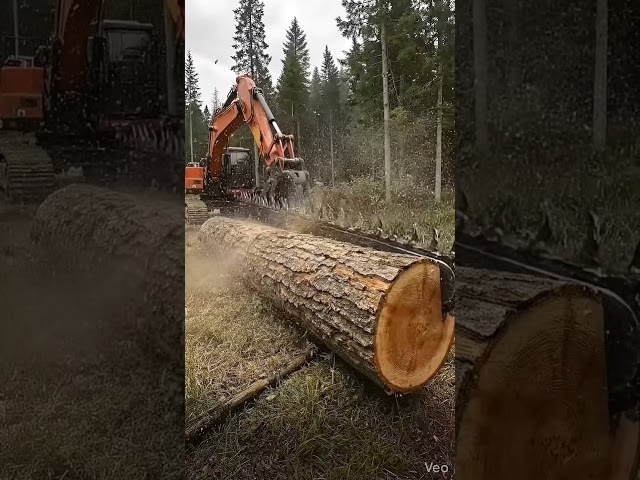 World’s Largest Chainsaw! 😱  #tools #powertools #tooltest #chainsaw #minichainsaw #stihl