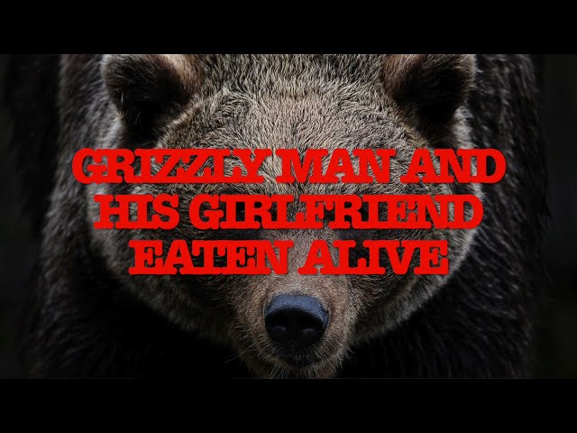 Grizzly-Man Original Sound: Timothy Treadwell Eaten Alive by a Grizzly (disturbing sound)