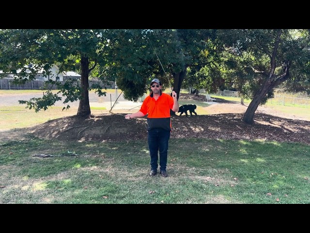 Add This to Your Cross March- Beginner Routine