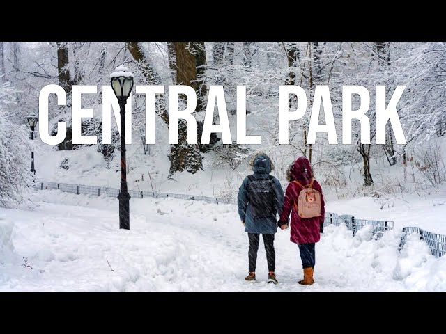 Central Park Snow Walk during Nor'easter 2022 - NYC’s First Blizzard of the season - Snowfall in NYC