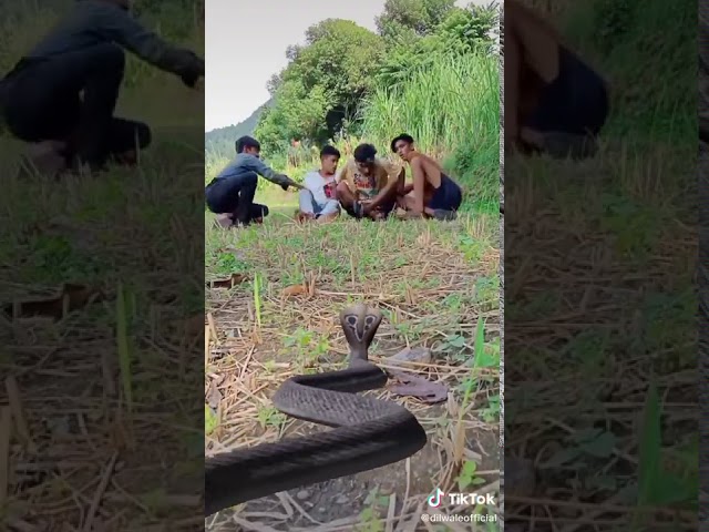 Nagin ka naga Dinesh Mmm