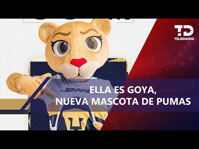 ¡Es bellísima! Pumas presentó a Goya como nueva mascota del club
