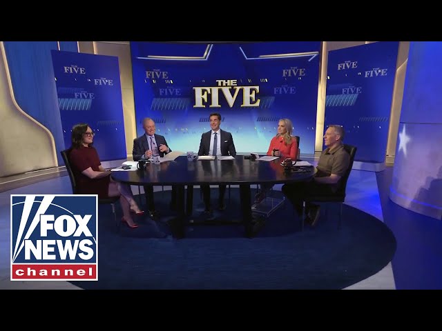 ‘The Five’ on 'cringe' social media video...