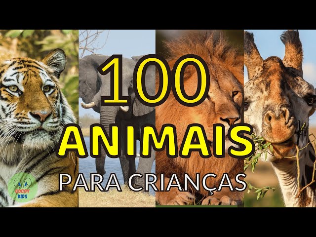 100 animais INCRÍVEIS para crianças - Conhecendo os animais reais!