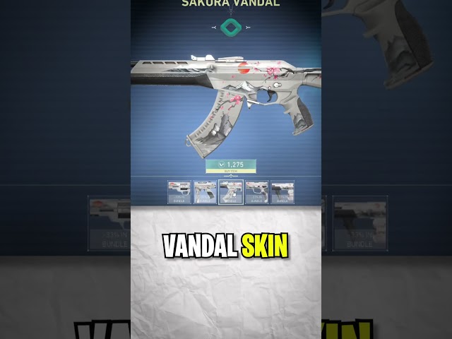 Budget Skin That Looks Like a Premium One!