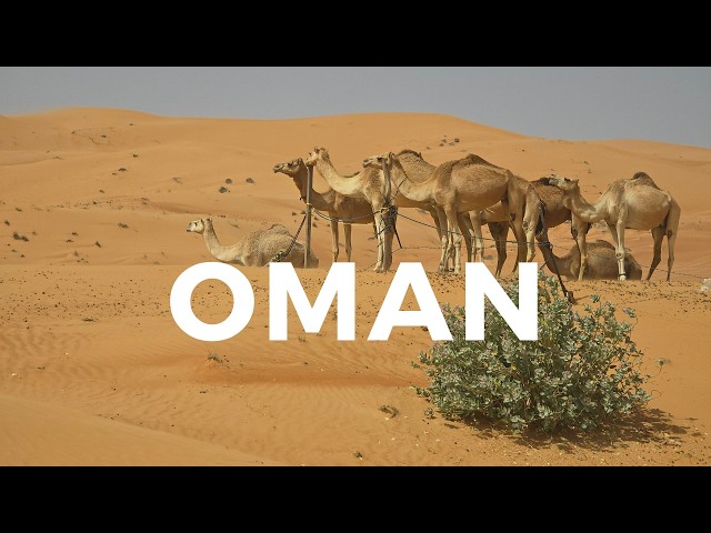 Oman ► Video guide, 17 min. | 4K