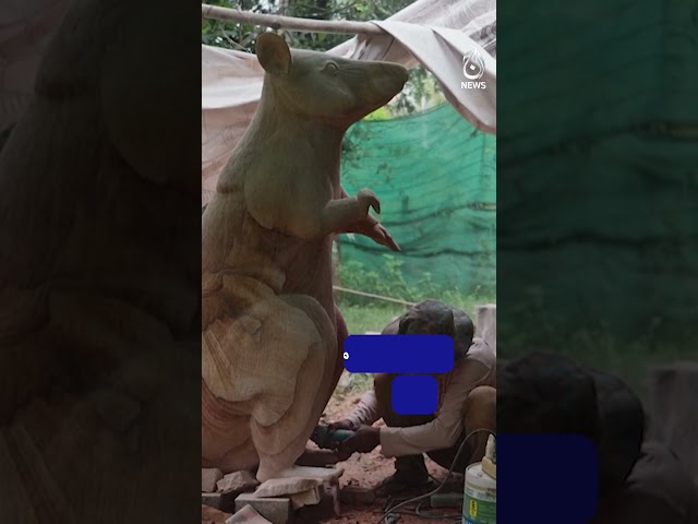 Cambodia Honors Hero Rat Magawa with Statue for Landmine Work #shorts