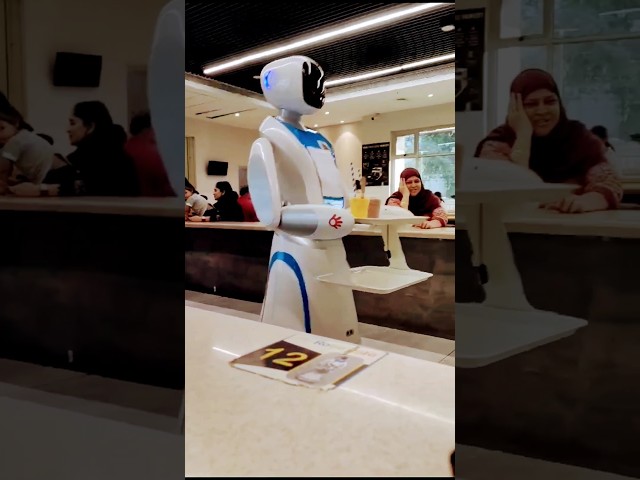 Roberts in India #reels #viral #trending #2023 #robert #shorts #gujarat #ahmedabad #india #indian