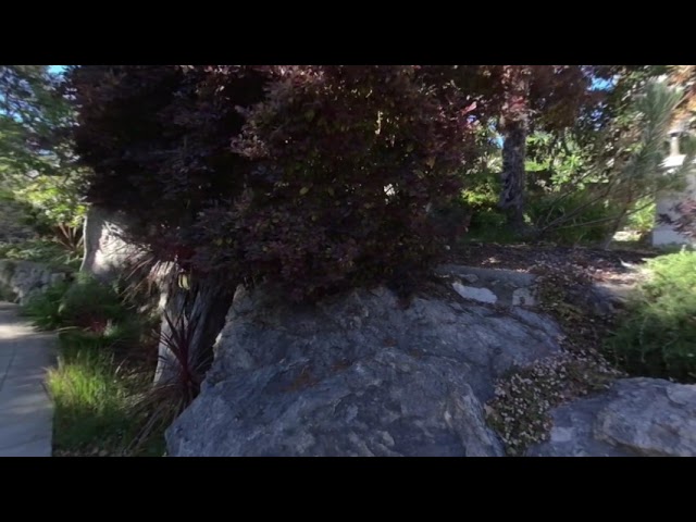 Berkeley Big Rock Garden H696 VR180 injected