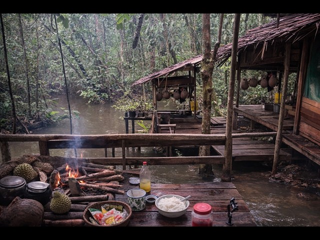 🔴 LIVE | 12 Hours Soothing Water Dripping & Light Rain for Focus, Study, and Zen