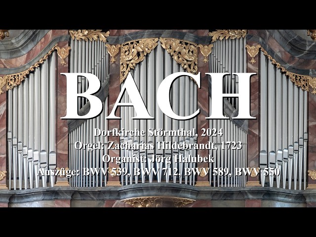 BACH Organ Landscapes, Dorfkirche Störmthal, Orgel Hildebrandt, 1723,  Ausz. BWV 539, 712, 589, 550