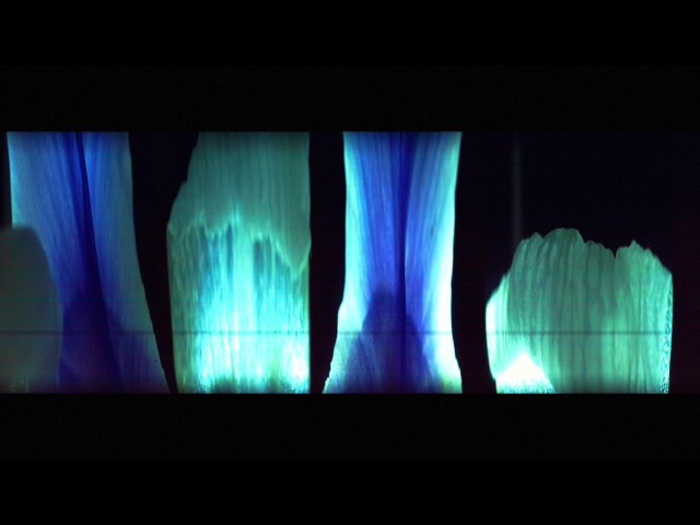 iris l241 r761 injected take2