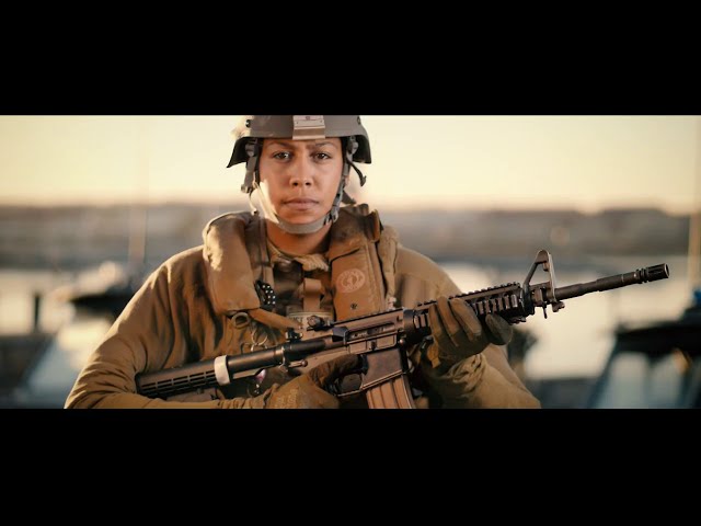 U.S. Navy Maritime Expeditionary Security Forces (MESF)