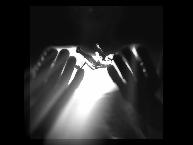 Mb.Sec | - Lauf in die Leere