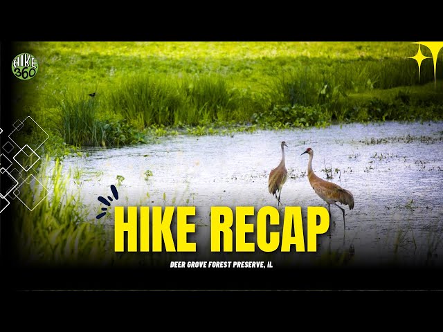 Deer Grove Forest Preserve, IL - Hike Recap (Hike 360° VR Video)