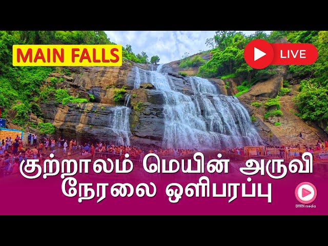 🔥Live🔥 Main Falls | 18.11.2025 | குற்றாலம் மெயின் அருவி நேரலை ஒளிபரப்பு | Kutralam Season Today