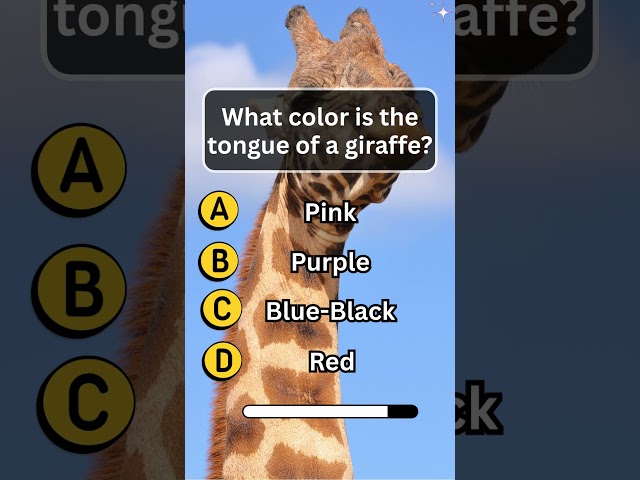 Animals Quiz  | Trivia game questions | English Quiz Game