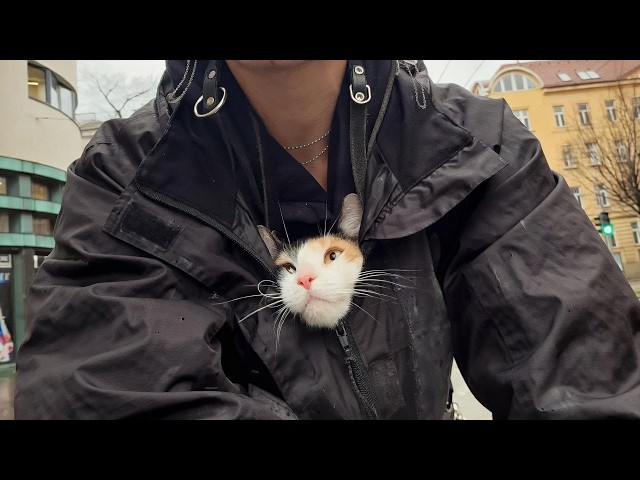 UNUSUAL MEMES COMPILATION V366