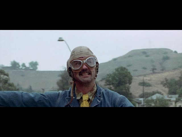 Cousin Strawberry Scenes, Cheech & Chong's Up In Smoke